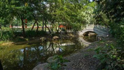 深圳最適合一日游的免費(fèi)景點(diǎn),各區(qū)都有!不要再說周末沒地方去啦.