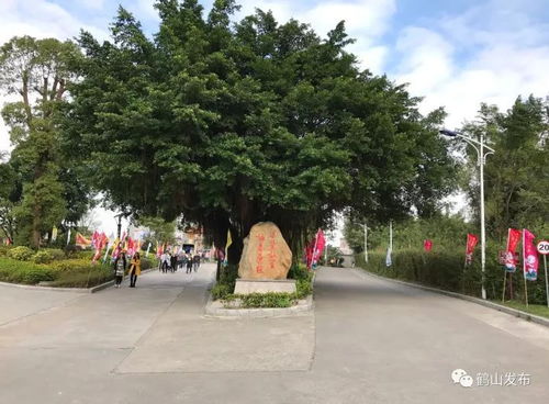 鶴馬 本周六開(kāi)走 最美賽道提前睇 記得帶上這份攻略...