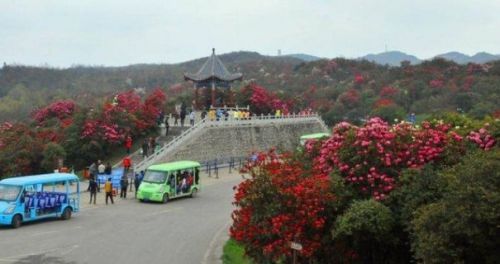 畢節(jié)市百里杜鵑管理區(qū)入圍第四批全國(guó)旅游標(biāo)準(zhǔn)化試點(diǎn)單位