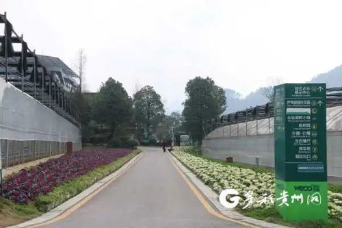 貴州多個景區(qū)陸續(xù)開園，游覽時園區(qū)管理服務(wù)與注意事項(xiàng)詳解