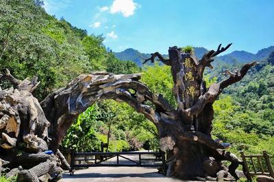 魔鬼秋千爆紅全網(wǎng) 浙旅集團(tuán)深度體驗(yàn)旅游產(chǎn)品成效凸顯，景區(qū)管理再升級