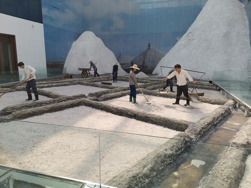 好客山東 百團山東行——濱州無棣站活動啟動，園區管理服務協同助力