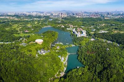 草地露營(yíng)、國潮音樂節(jié)、少兒音樂匯 南京珍珠泉度假區(qū)假期精彩紛呈，盡顯卓越園區(qū)管理服務(wù)